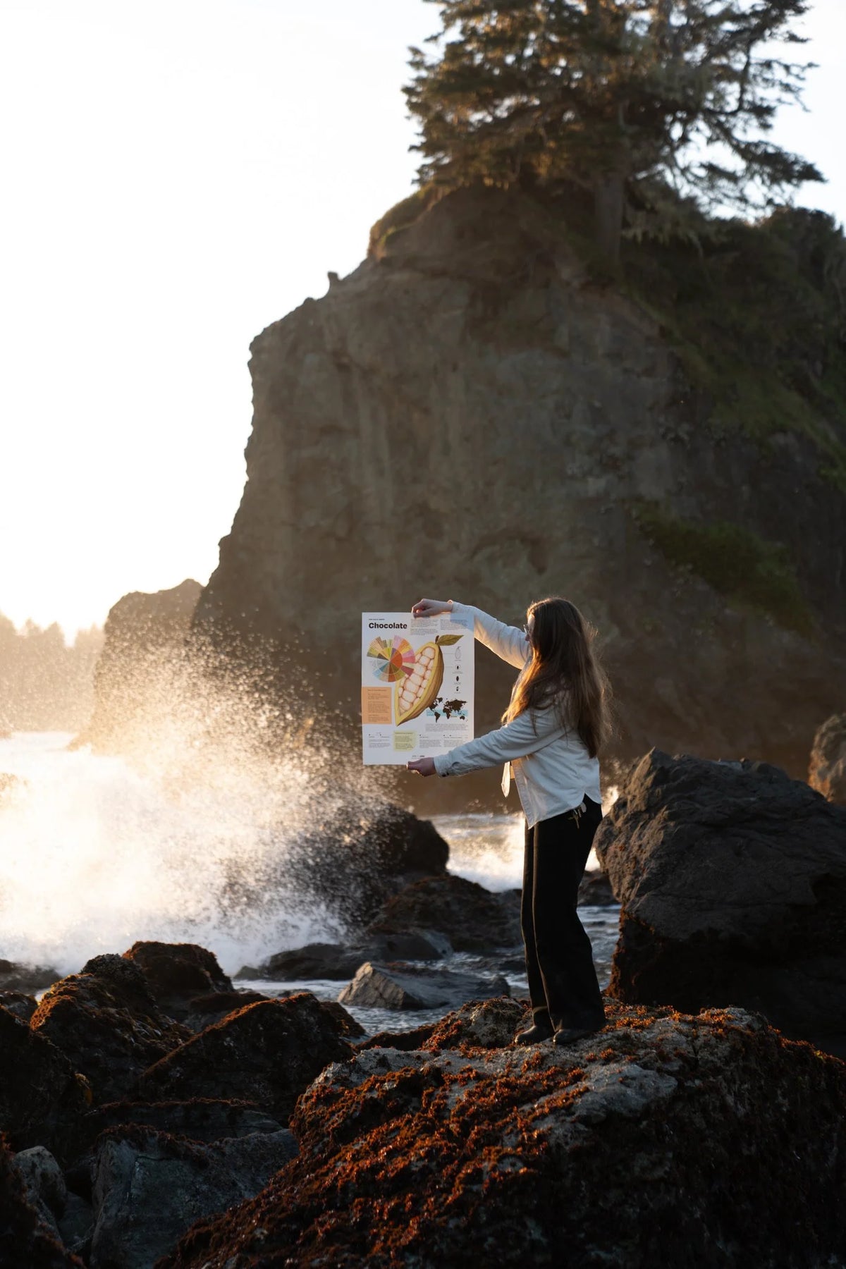 59% LOST COAST FURIKAKE
