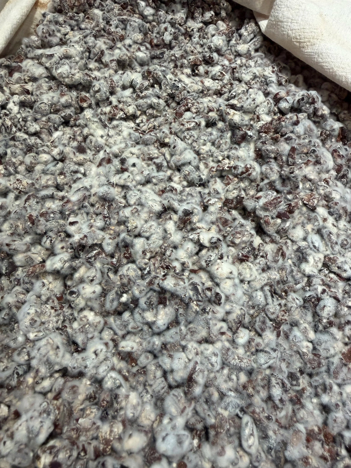 71% COCOAJI (SUBSCRIBERS ONLY)